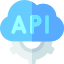 api